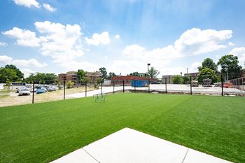 The backyard at the callaway house austin