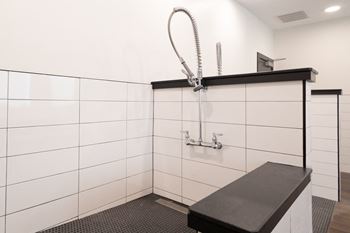 A wet room with a shower and a bench