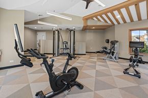 Schaumburg apartment for rent - Gym at The Winds at Poplar Creek Apartments , Illinois 60194