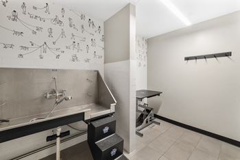 A utility room with a sink and a wall covered in drawings