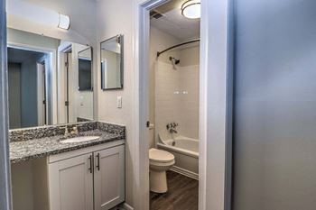 A bathroom with a sink and a toilet and a mirror