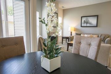 Avon apartment for rent - a living room with couches and a table with a plant on it