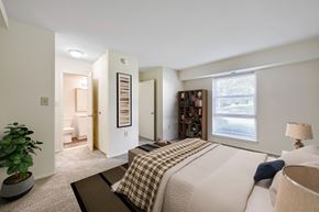 Lebanon apartment for rent - A bedroom with a bed, a potted plant, and a bookshelf.