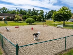 Blackwood apartment for rent - Autumn Ridge Apartments