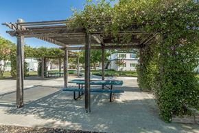 Davis apartment for rent - Outdoor picnic table with lush foliage