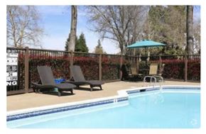 Sacramento apartment for rent - a swimming pool with two lounge chairs and an umbrella