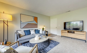 Ventura apartment for rent - Furnished living room with carpet