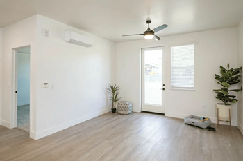 A room with a ceiling fan and a plant on a side table.