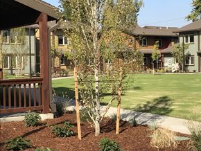 Beaverton apartment for rent - Green Space With Gazebo at Bridge Meadows Beaverton 55+, Beaverton Oregon