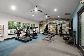 Olympia apartment for rent - Two Bedroom Apartments in Olympia WA - Yauger Park Villas- Fully Equipped Gym with Cardio Equipment, Free Weights, High Ceilings, Large Windows, Two-Toned Carpet, and Abstract Accent Wall