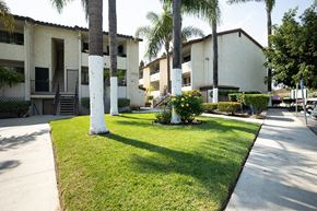 San Ysidro apartment for rent - Palm trees and pathways for residents