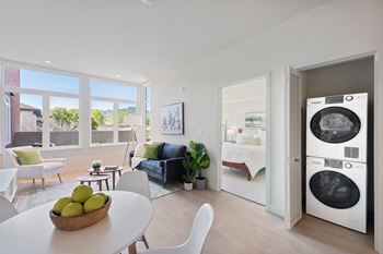 Expansive dual pane windows