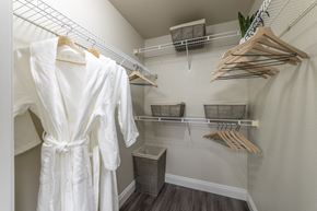 Gold River apartment for rent - Walk In Closet