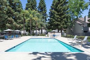 Sacramento triplex for rent - Ashford Park resident pool and lounge chairs
