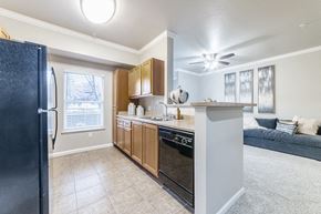 Sacramento apartment for rent - an open kitchen and living room with a refrigerator and a sink