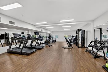 Fitness area