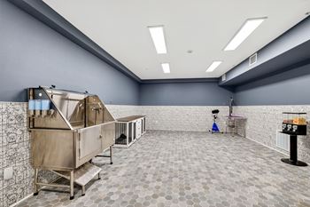 Pet washing station