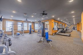 Westminster apartment for rent - State of the art gym with cardio and weight equipment
