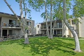 Spring Valley apartment for rent - Building exterior with grass