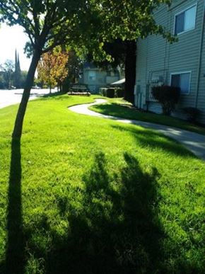 Stockton apartment for rent - Enjoy the walking paths at Ashley Park Apartments | Stockton, CA