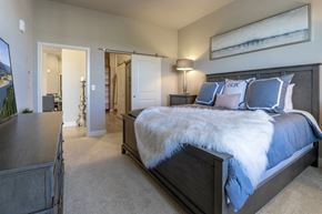 Rancho Cordova apartment for rent - bedroom large closet