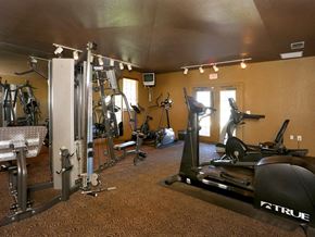Tampa apartment for rent - Fitness center at Bristol Bay, Tampa, 33619
