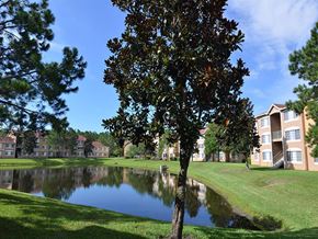 Jacksonville apartment for rent - lake views and mature landscaping at The Edge at Town Center Apartments, Florida