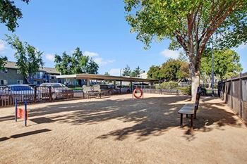 Dog park