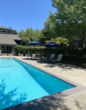 Citrus Heights apartment for rent - Luxury Apartments in Citrus Heights, CA - The Reva Apartments - Pool Outside With Lounge Chairs and Umbrellas