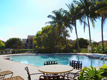Pool area with seating and palm trees