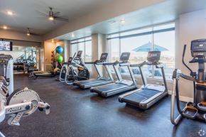 Sparks apartment for rent - Dog-Friendly Apartments in Sparks, NV - Waterfront at the Marina - 24-hour Fitness Center with Treadmills and Workout Equipment