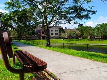 Bench area overlooking lake