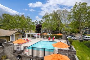 Santa Rosa apartment for rent - a swimming pool with orange umbrellas by pool at THE MEADOWS, California, 95404