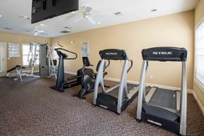 Vero Beach apartment for rent - Gym with Treadmills at THE PALMS AT VERO BEACH, Florida 