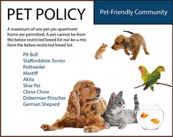 San marco pet policy image
