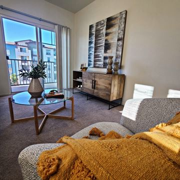 Dublin apartment for rent - a living room with a couch and a chair and a window