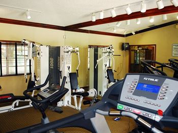 Siesta pointe fitness center with cardio and weight equipment