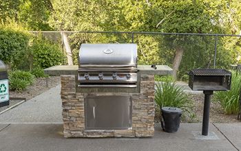 Propane and charcoal bbq grills