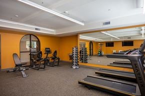 Camarillo apartment for rent - a gym with treadmills and other exercise equipment at Vintage at Anacapa Canyon, Camarillo, CA