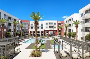 Las Vegas apartment for rent - A pool surrounded by palm trees and lounge chairs.