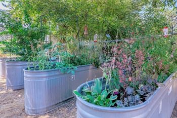 A vegetable garden with galvanized steel planters