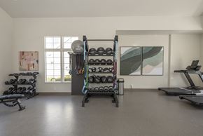 Davis apartment for rent - a fitness room with weights and a window