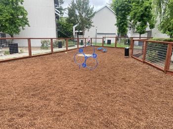 Dog park