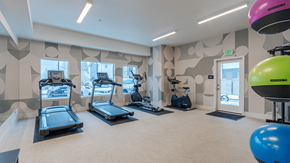 Coeur D'alene apartment for rent - A gym with treadmills, exercise bikes, and a balloon at Falls Creek Apartments in Idaho, 83815