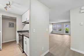 Canby apartment for rent - A kitchen with a stove top oven and a refrigerator.