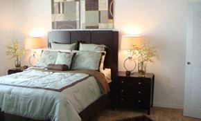 Daytona Beach apartment for rent - Furnished bedroom at Carolina Club Apartments, Daytona Beach, FL