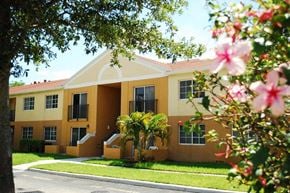 Miami Gardens apartment for rent - Marbrisa Apartments community exterior and walkways with palm trees at Marbrisa Apartments, Florida