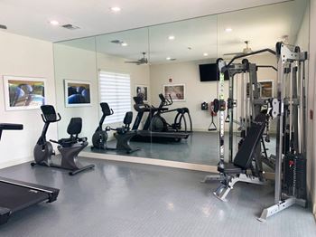 Fitness center with cardio and weight equipment