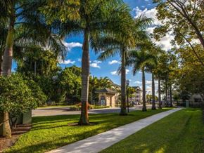 Miami apartment for rent - mature landscaping and palm trees at Valencia Pointe, Florida