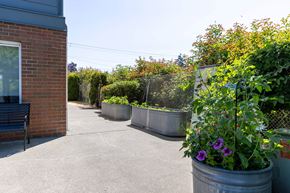Kent apartment for rent - a patio with plants and a bench at Webster Court Senior Apartments, Kent, Washington